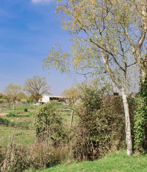 26-IMG_5450